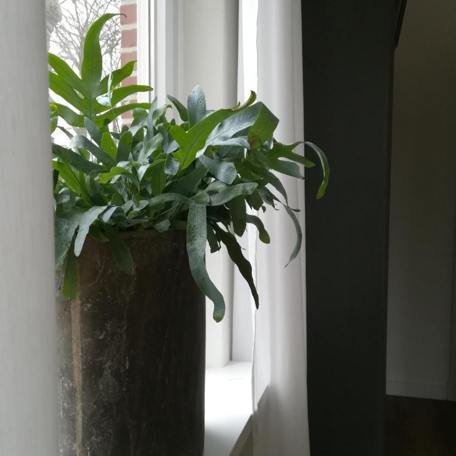B&B Het Klontje Vriescheloo 외부 사진